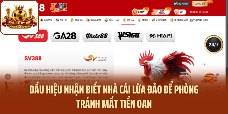 Dấu Hiệu Nhận Biết Nhà Cái Lừa Đảo Để Phòng Tránh Mất Tiền Oan