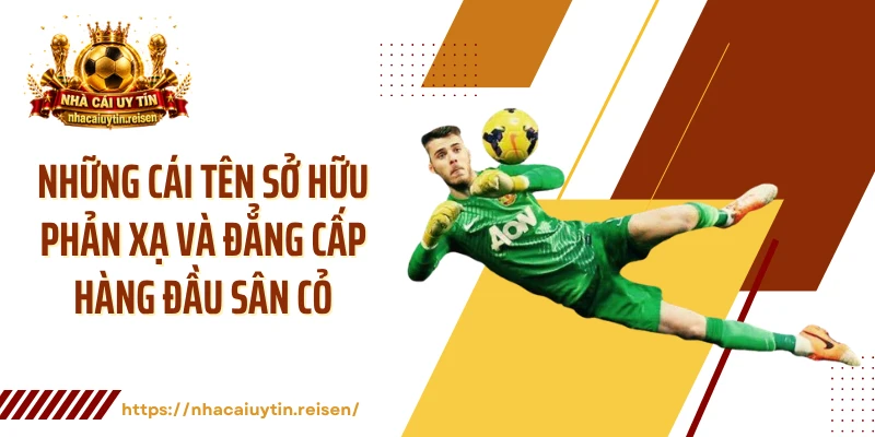 Những cái tên sở hữu phản xạ và đẳng cấp hàng đầu sân cỏ